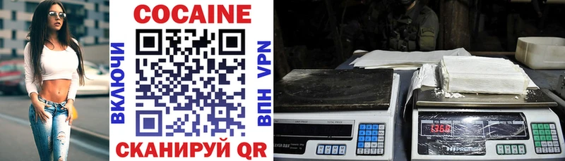 Купить закладки  Комсомольск  Cocaine Fish Scale 